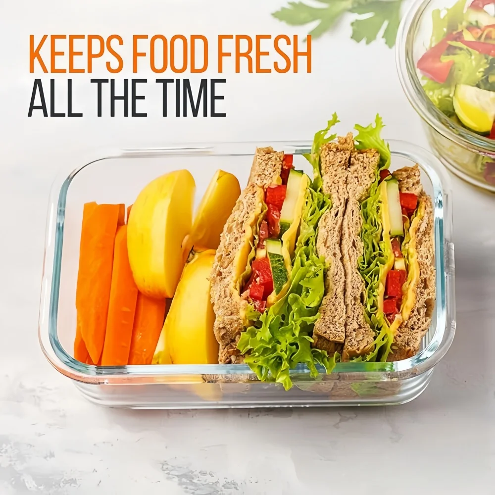 BPA-Free Glass Lunch Box Recta - Meal Prep Boxen Glas ulasan dan harga