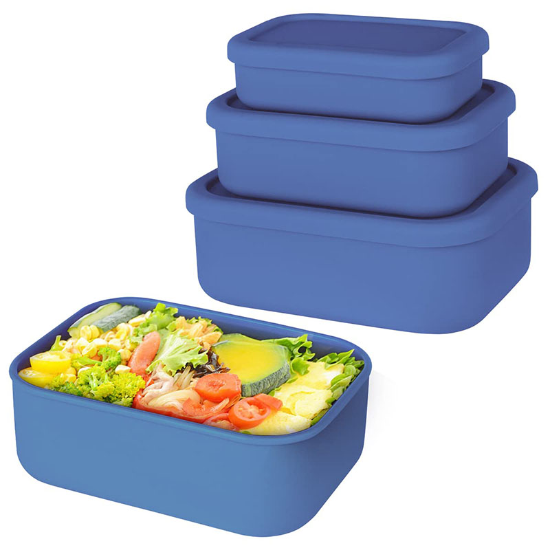 Leak-Resistant Bento Lunch Box - Meal Prep Boxen Glas ulasan dan harga