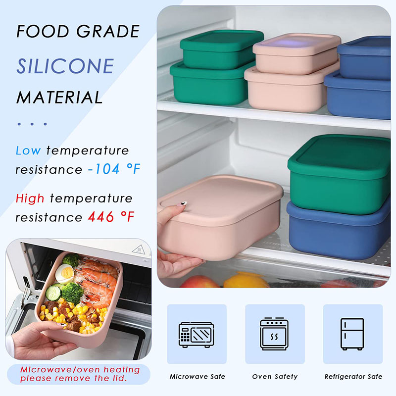 Leak-Resistant Bento Lunch Box - Meal Prep Boxen Glas ulasan dan harga